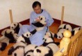 /album/%2ailgin%c3%a7%20resimler/panda-bakicisi-1-jpg/
